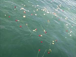 Ashes Scattered at Sea