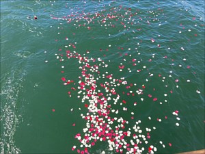 Ashes Scattered at Sea