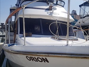 Our Vessel Orion